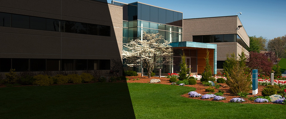 Villa Park Landscapers